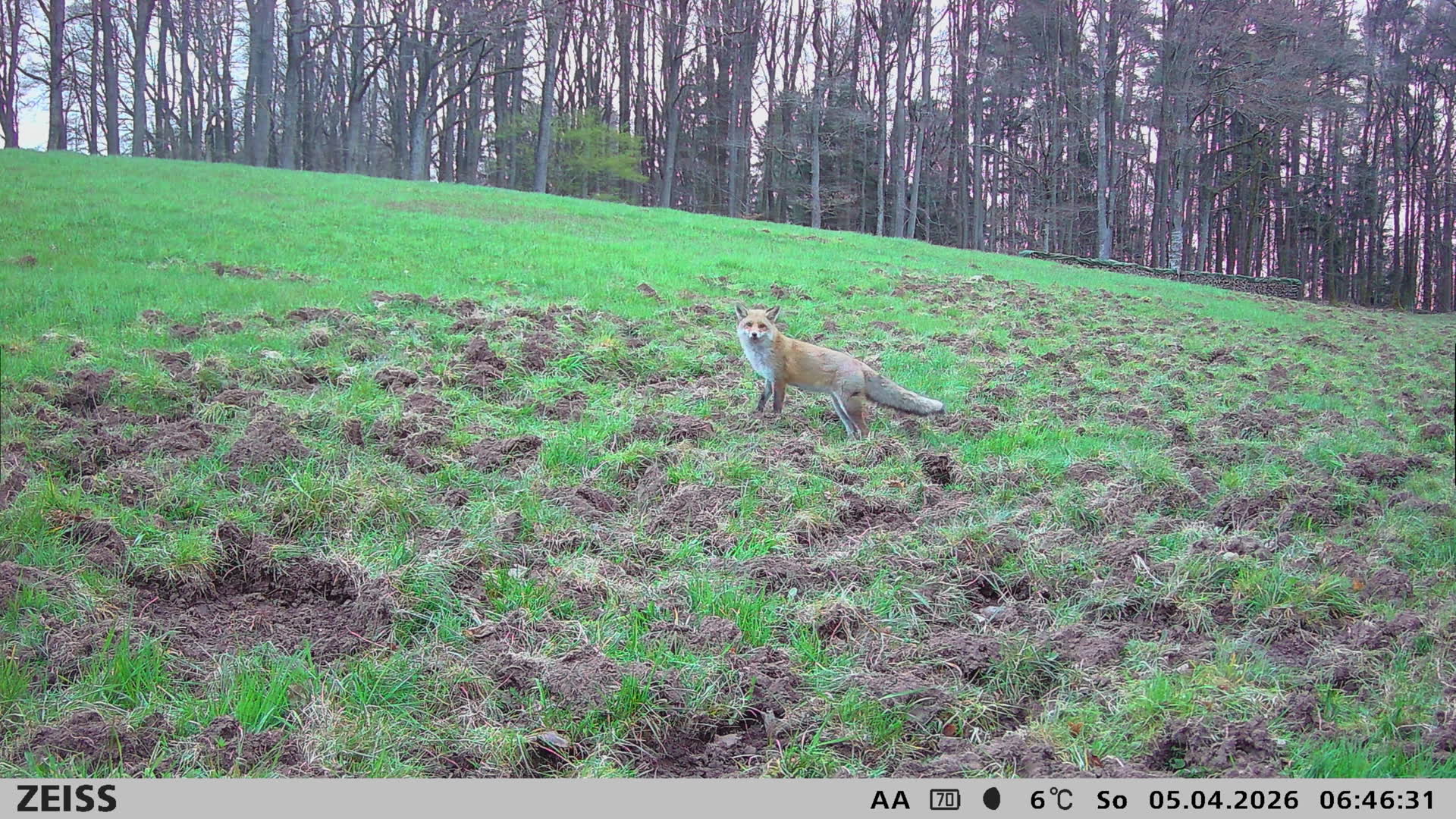 Ecke Watterbach