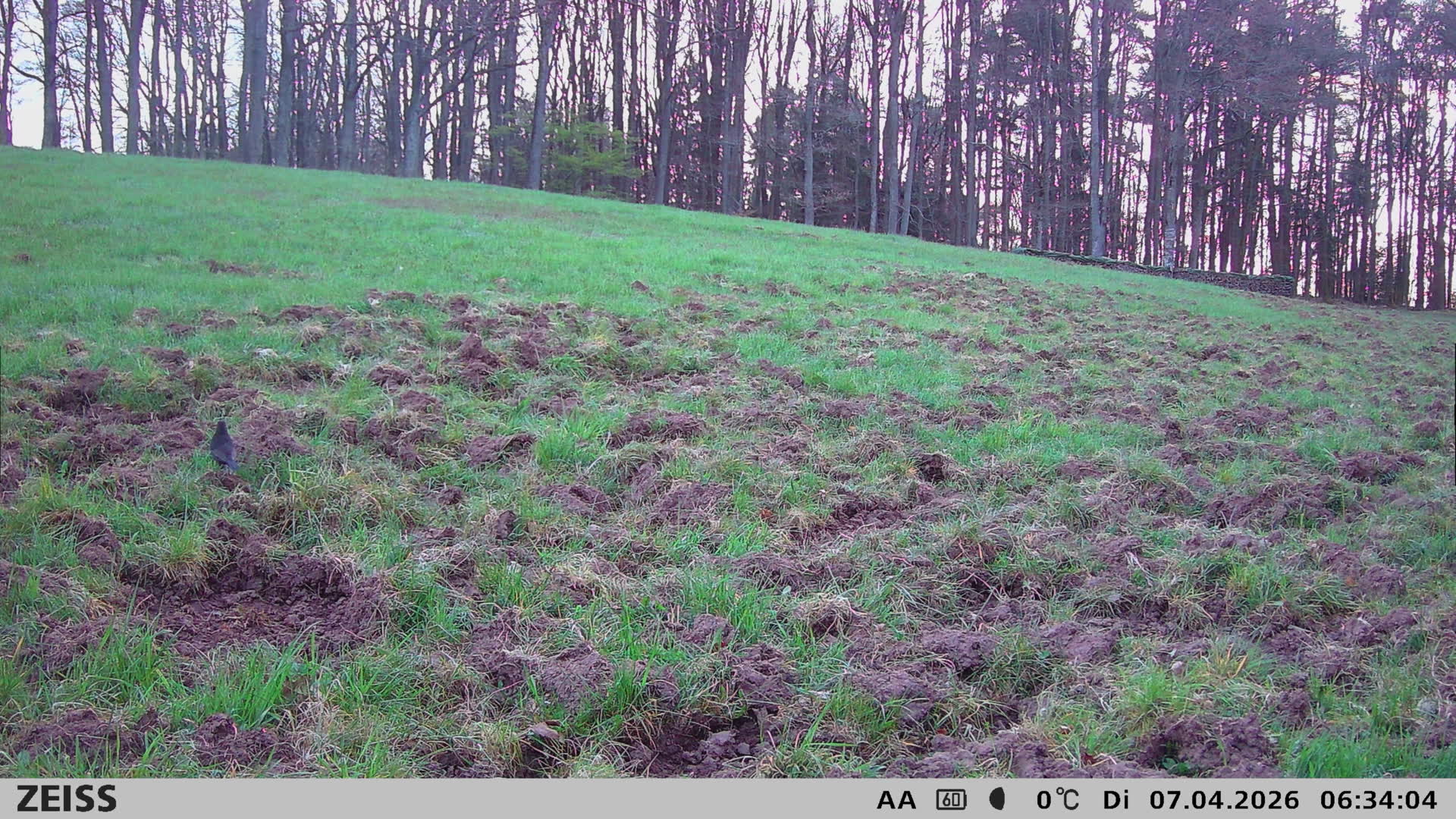 Ecke Watterbach