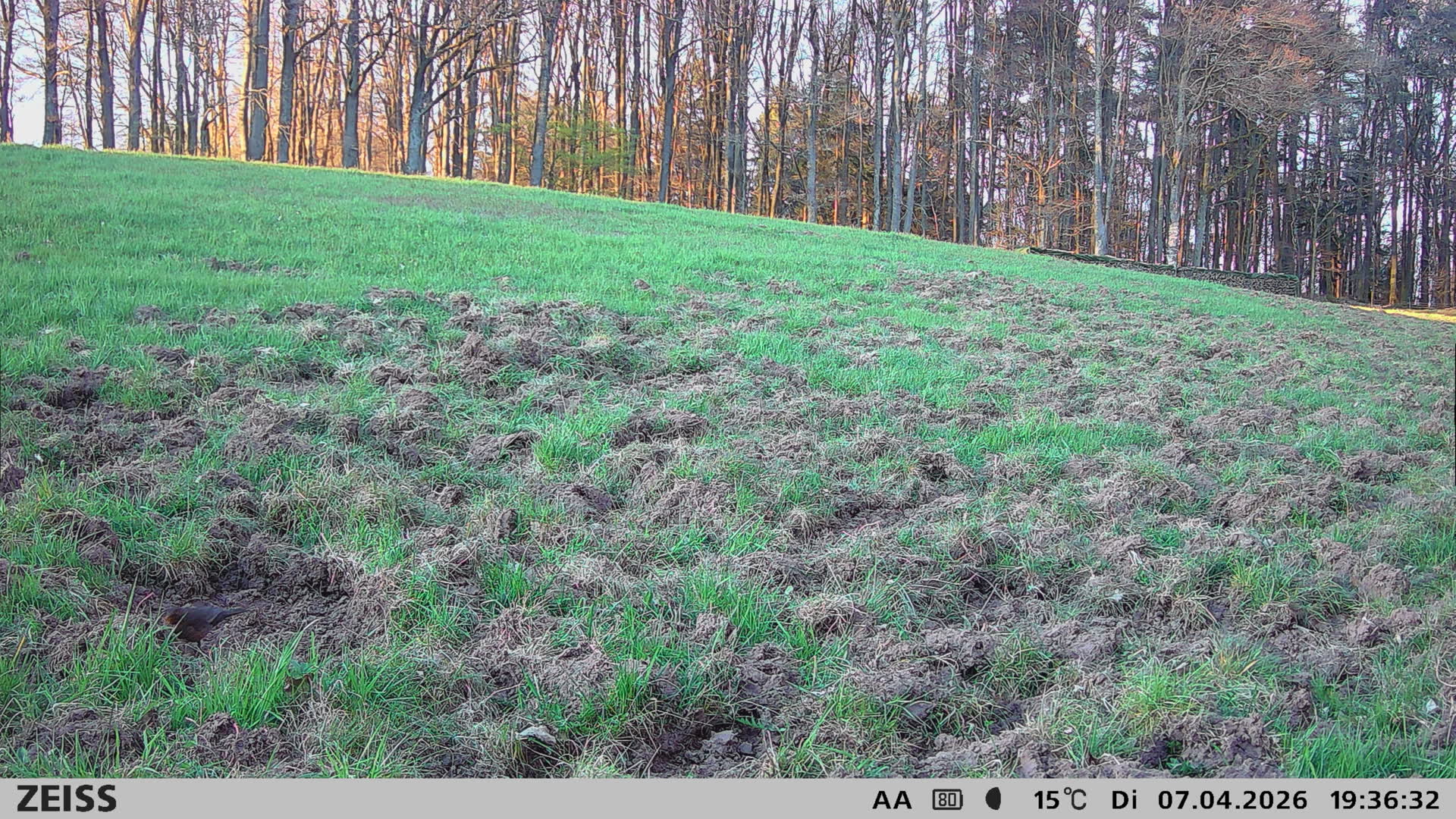 Ecke Watterbach