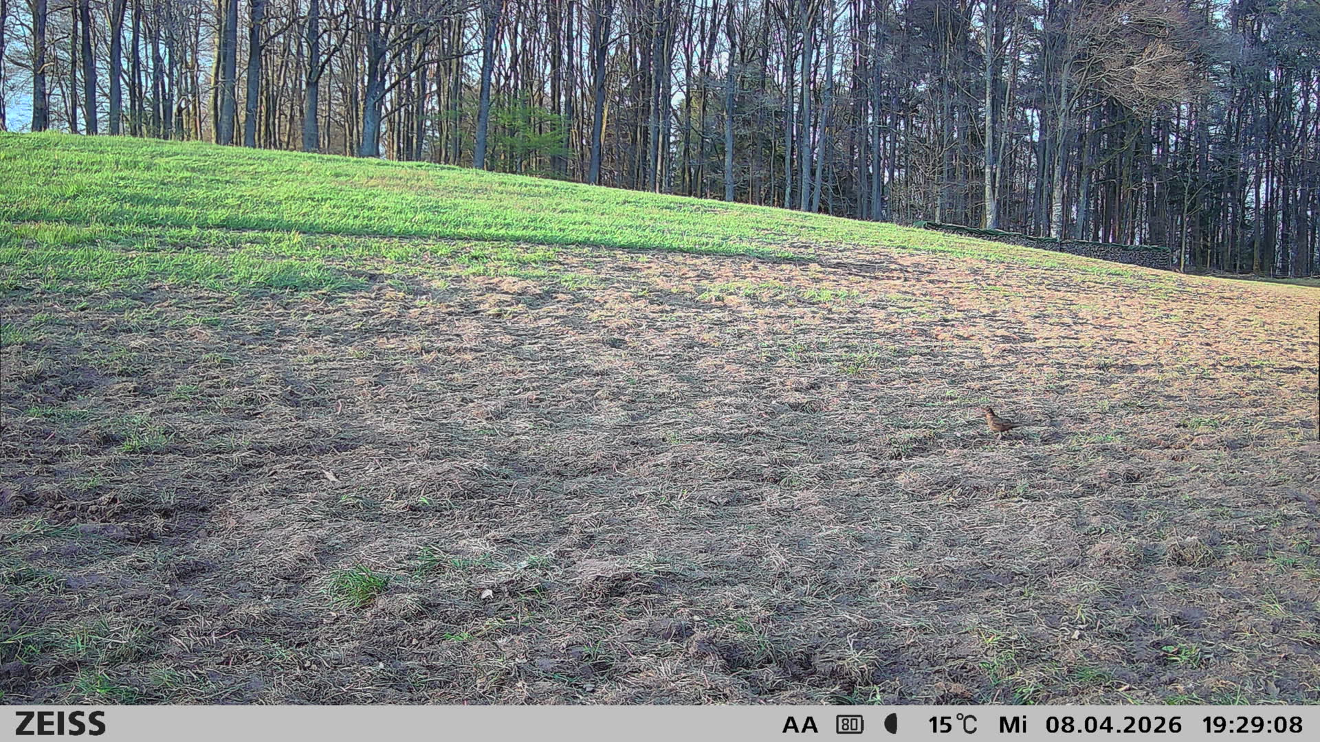 Ecke Watterbach
