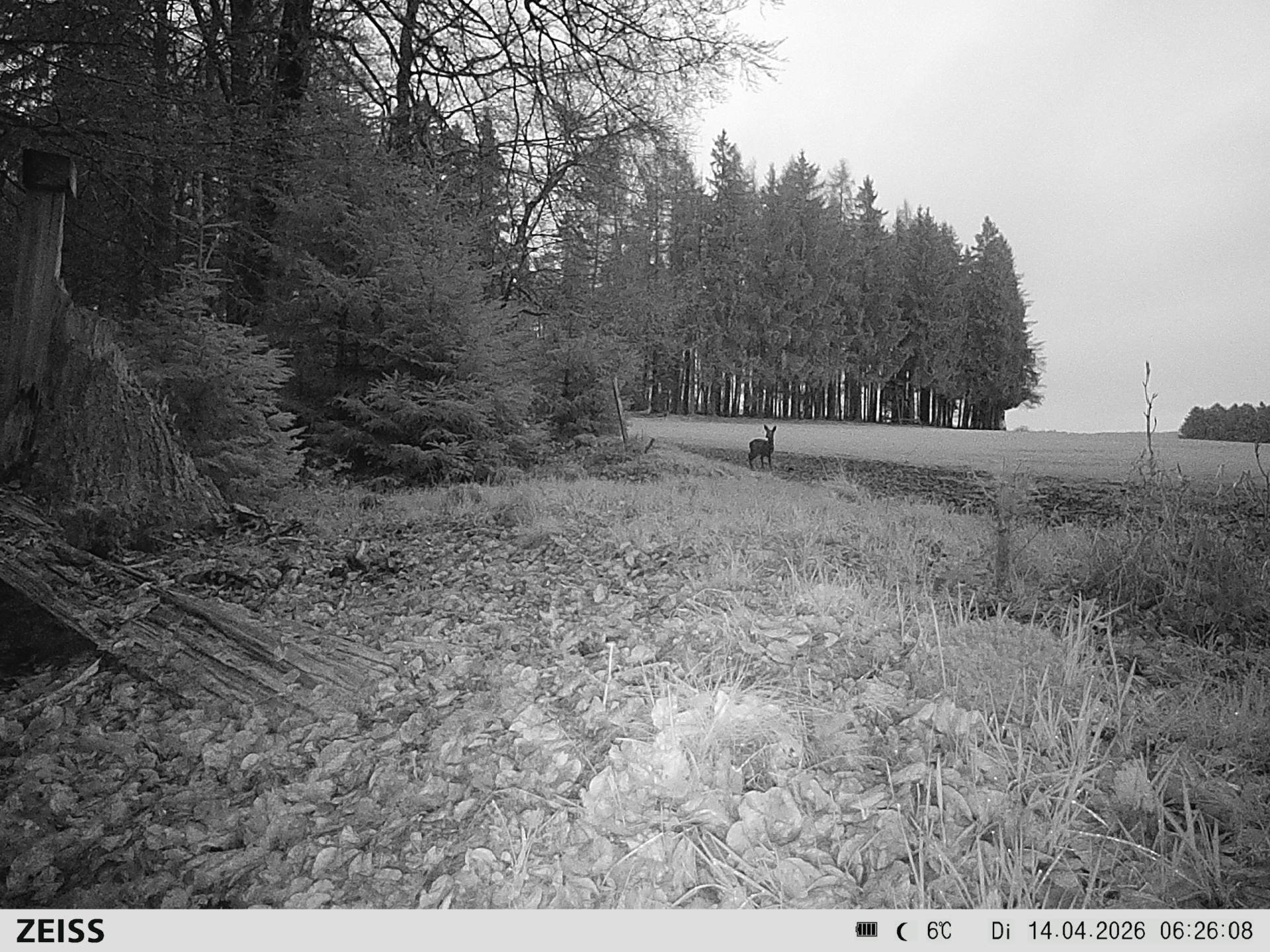 DEF Salzlecke