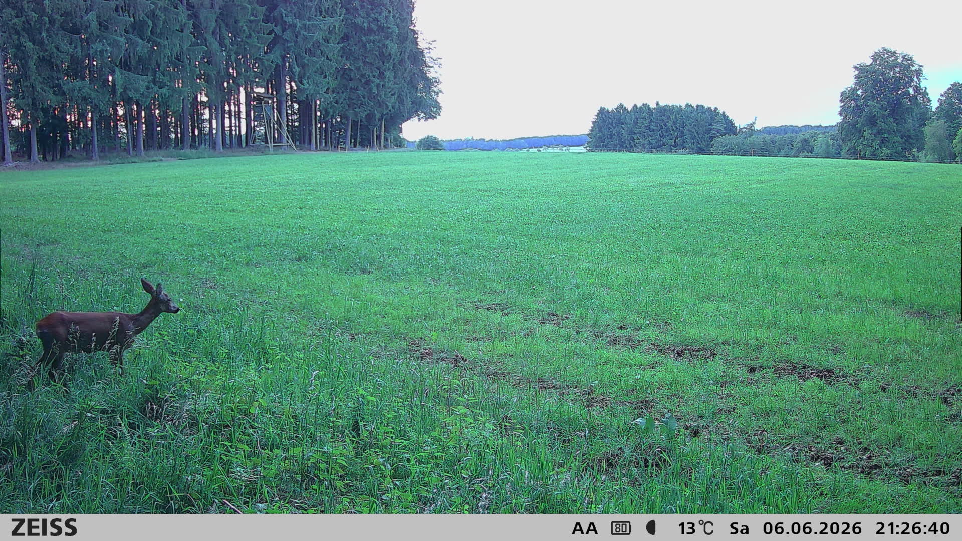 DEF Salzlecke
