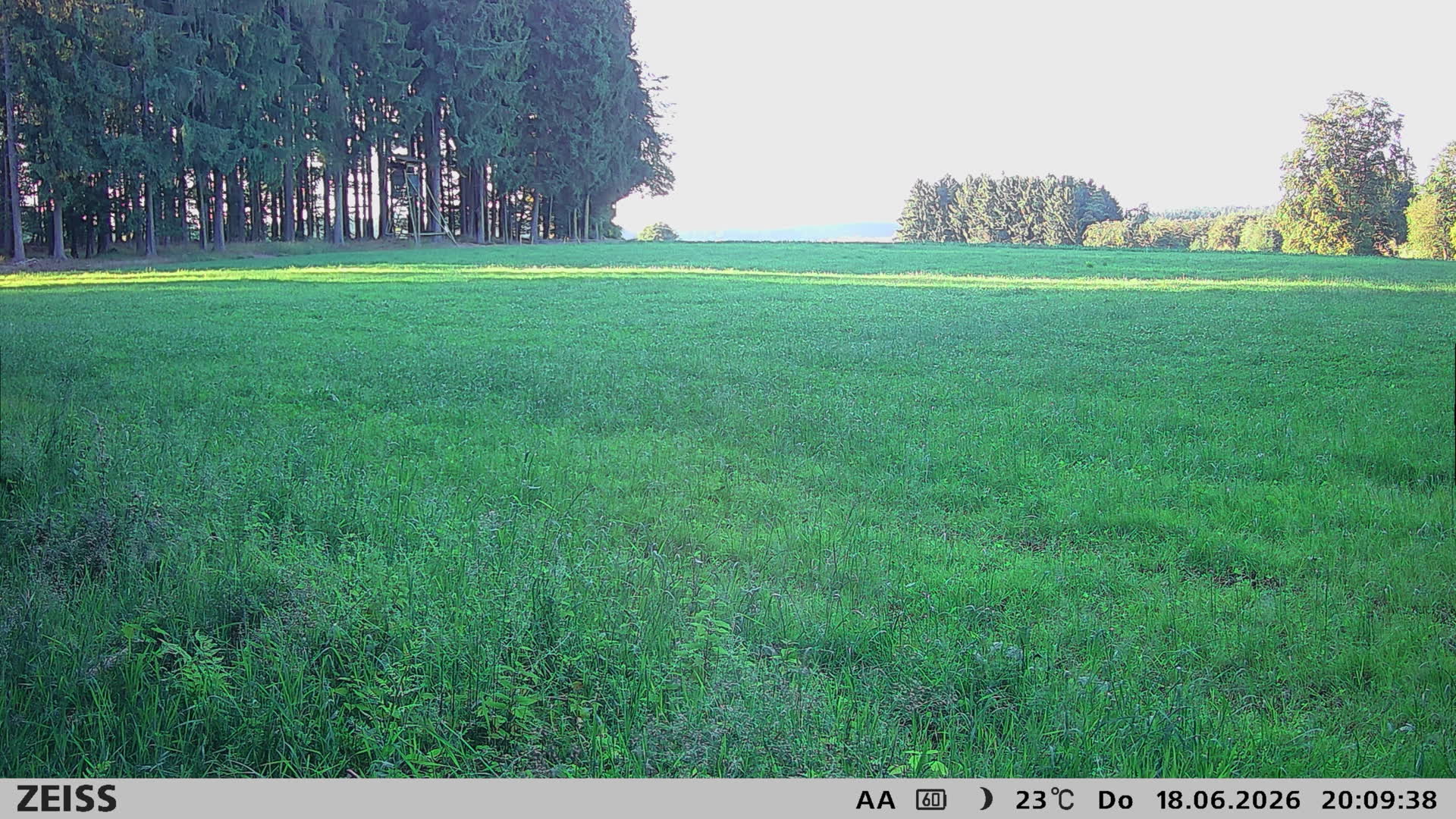 DEF Salzlecke