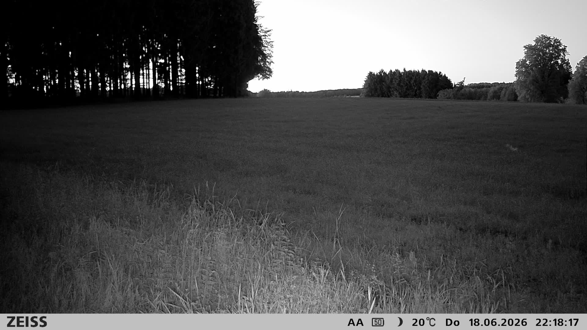 DEF Salzlecke