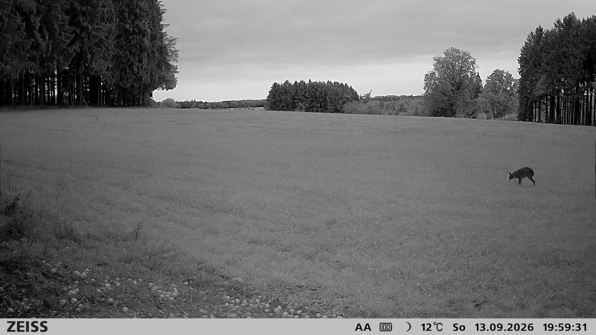 DEF Salzlecke
