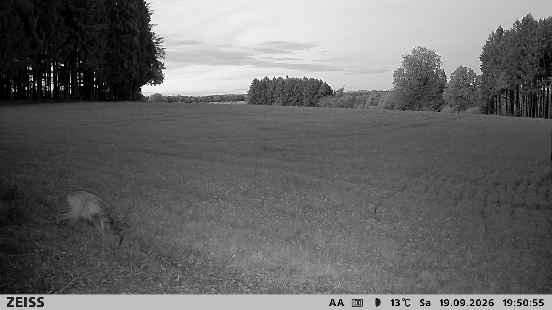 DEF Salzlecke
